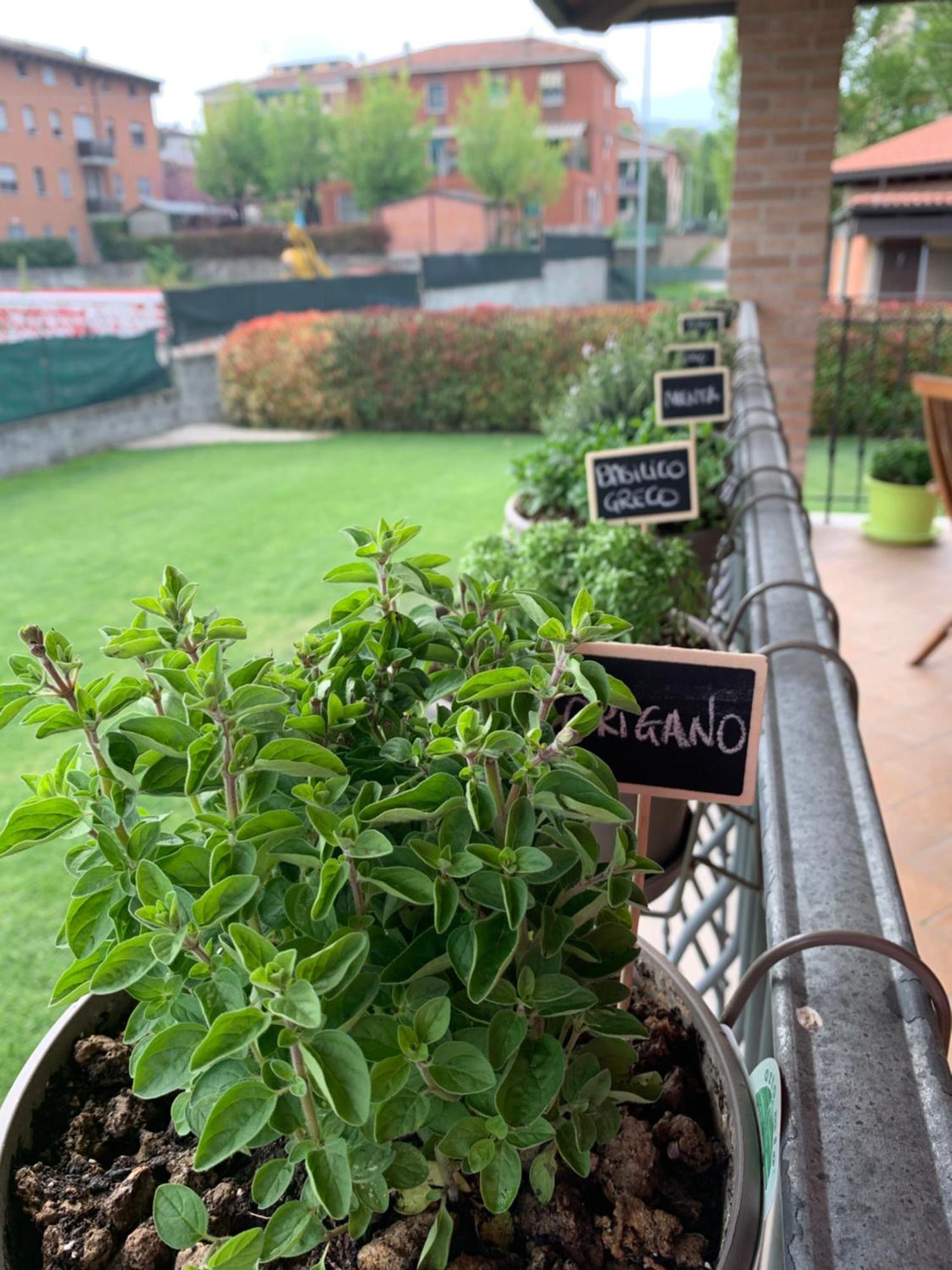 Appartamento Con Giardino Pontecchio Marconi Ngoại thất bức ảnh